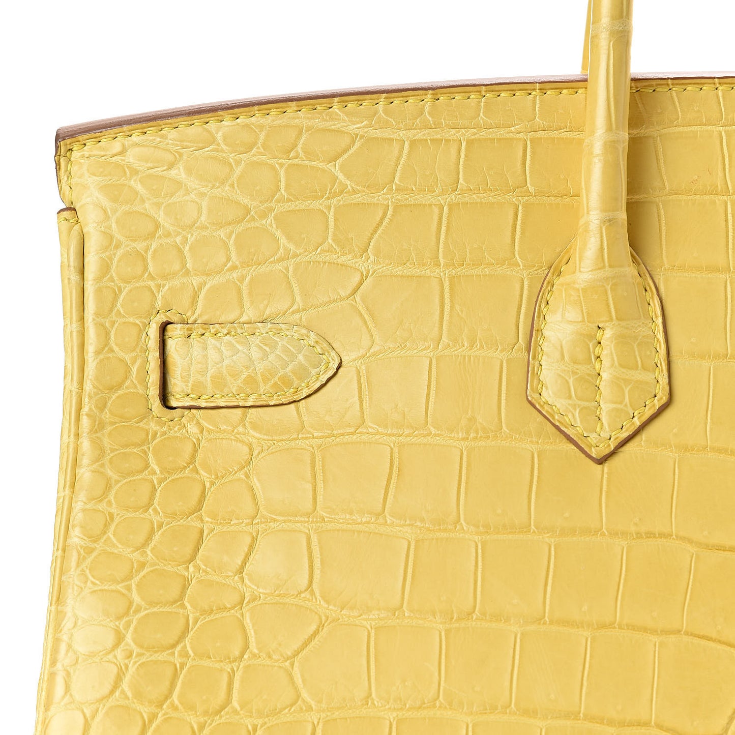 Matte Porosus Crocodile Birkin 35 Mimosa