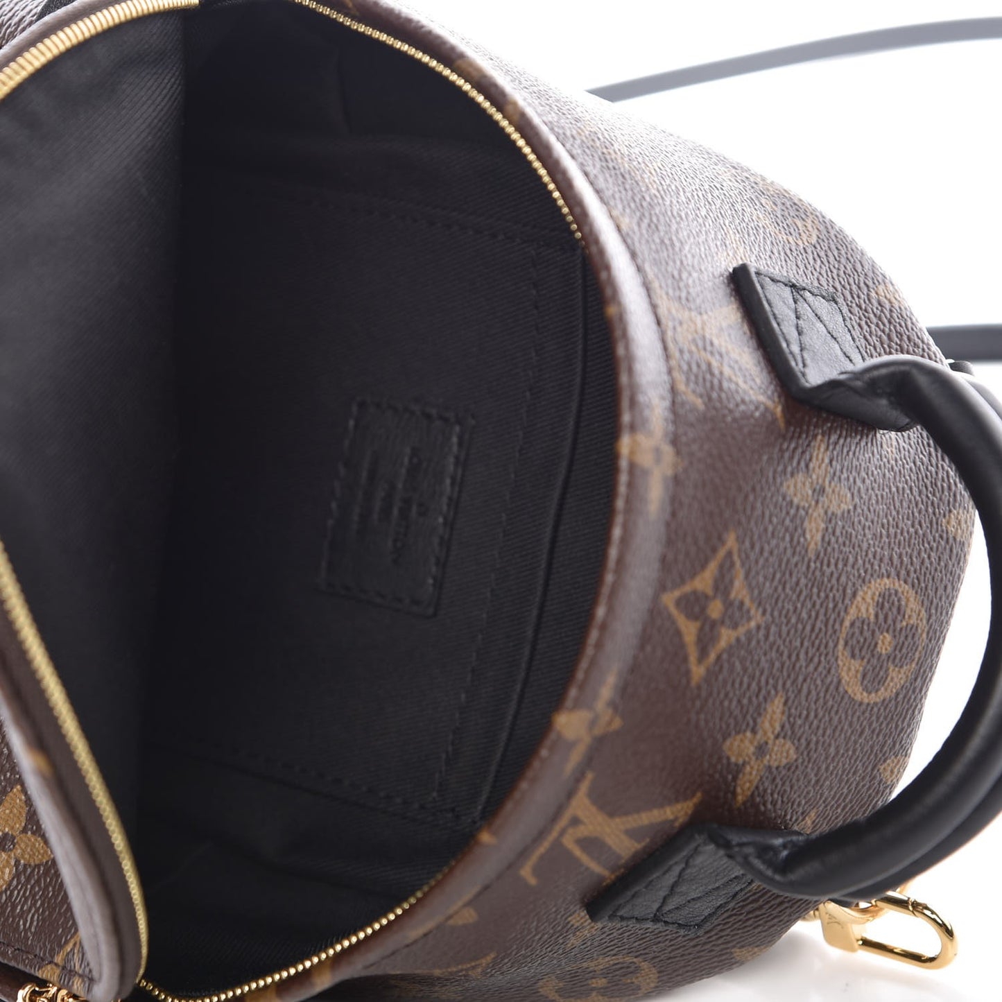 Monogram Palm Springs Backpack Mini