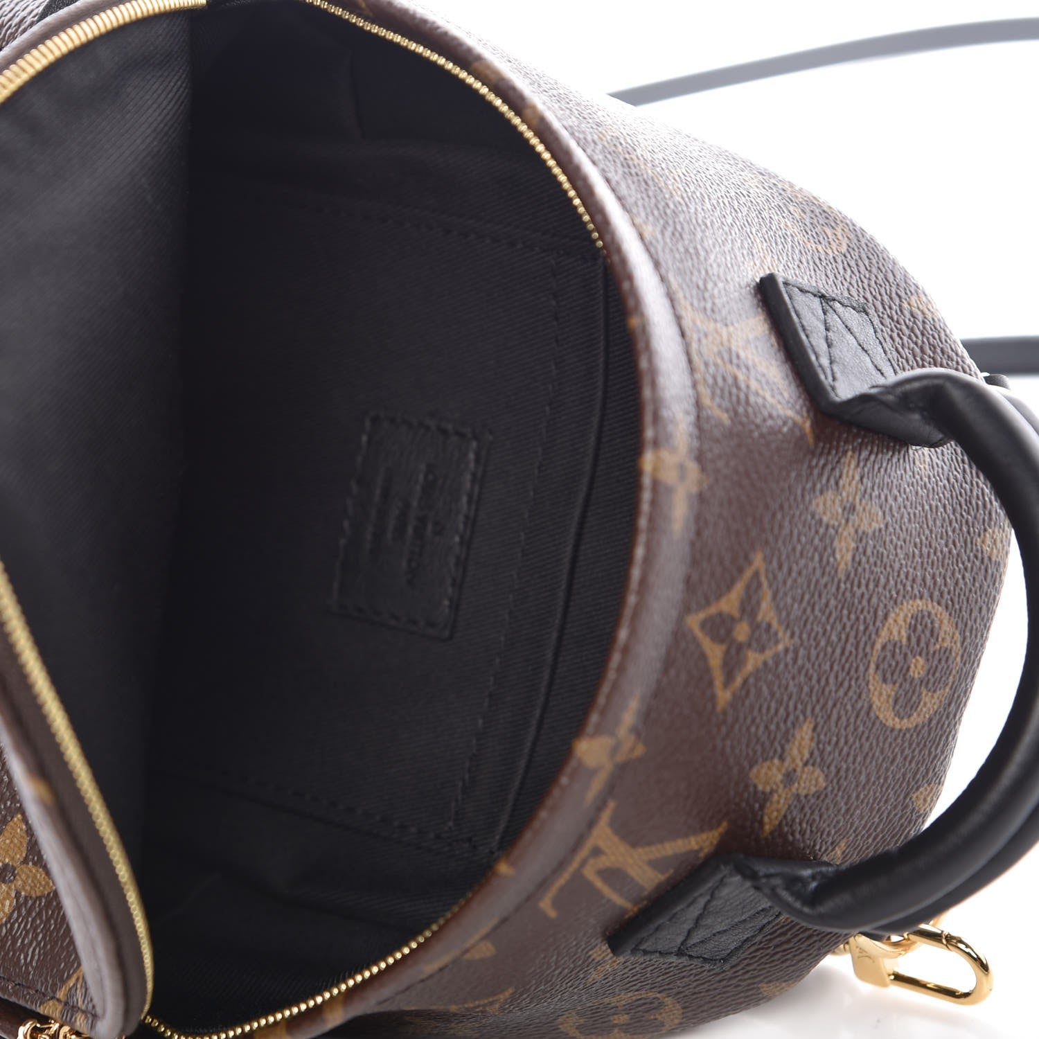 Louis Vuitton Monogram Palm Springs Backpack Mini 5 of 7