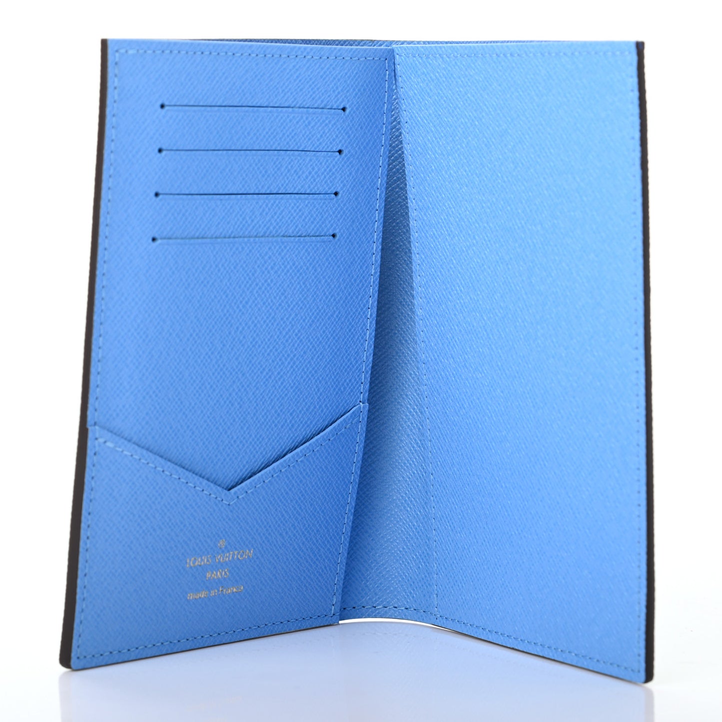Monogram 2021 Christmas Animation China Passport Cover Myosotis Blue