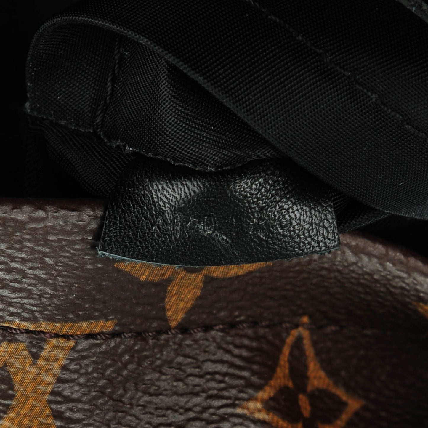 Monogram Palm Springs Backpack Mini