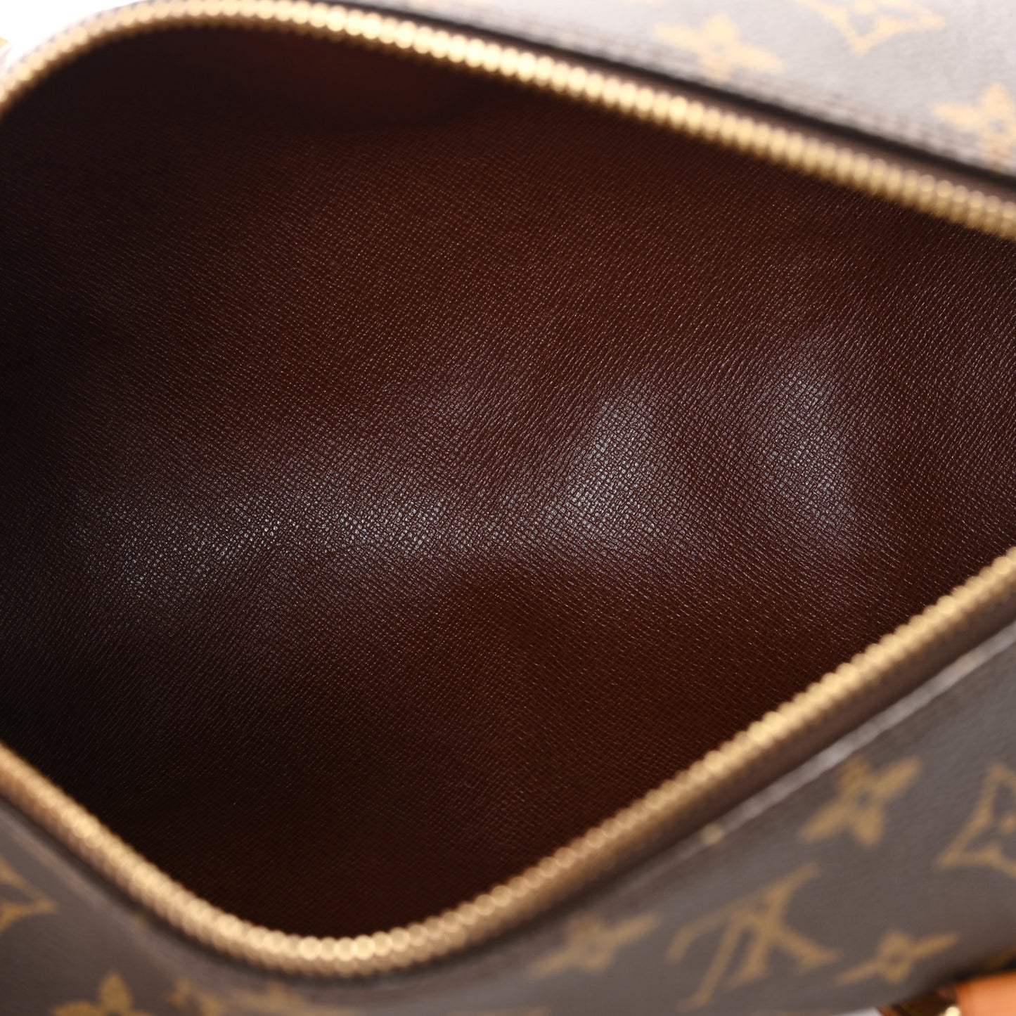 Monogram Papillon 30 with Companion