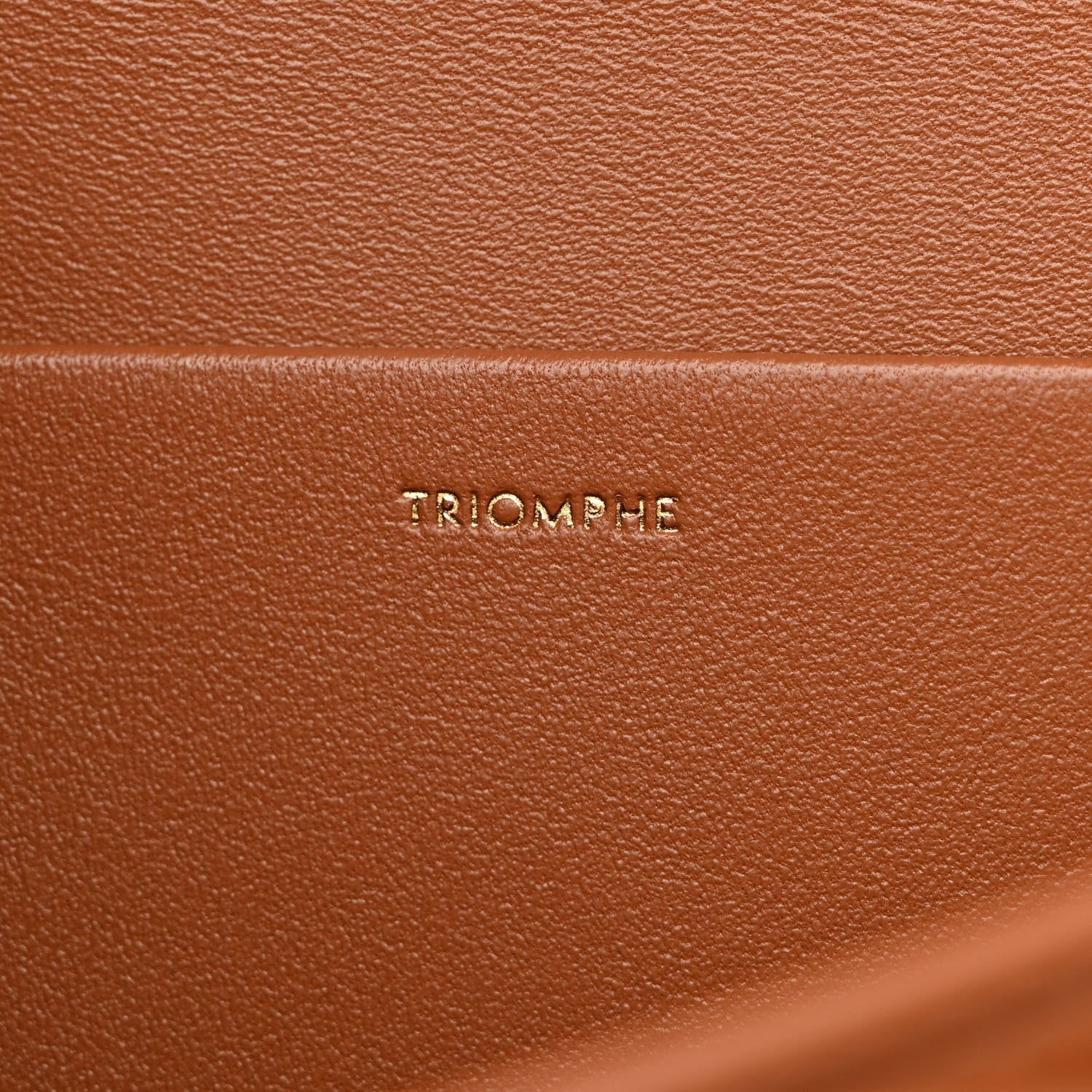 Celine Natural Calfskin Medium Triomphe Tan 8 of 11