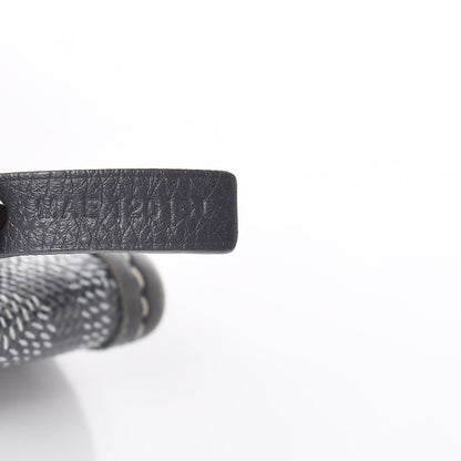 Goyard Goyardine Saint Louis PM Grey 10 of 16