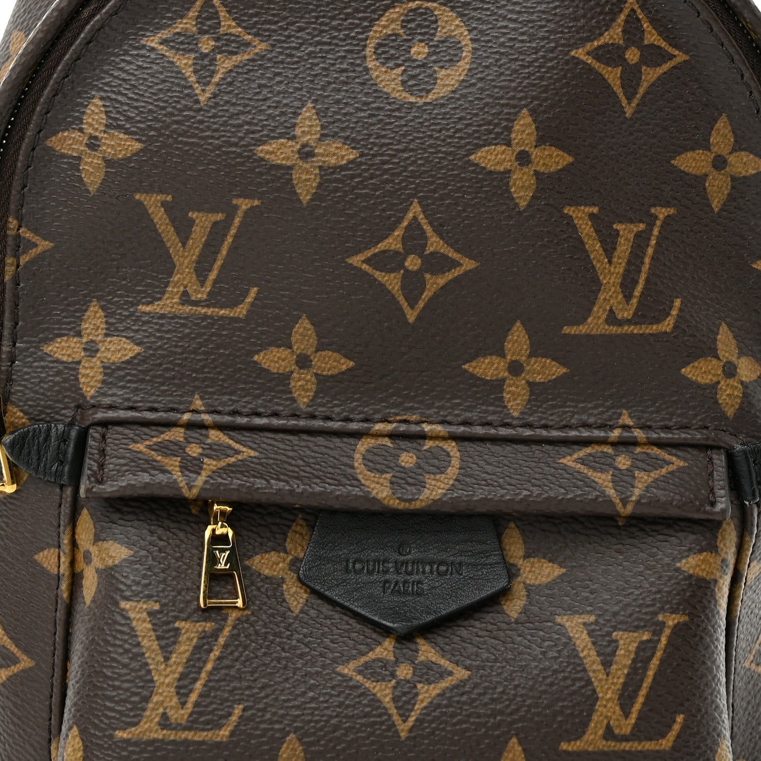 Louis Vuitton Monogram Palm Springs Backpack Mini 8 of 11