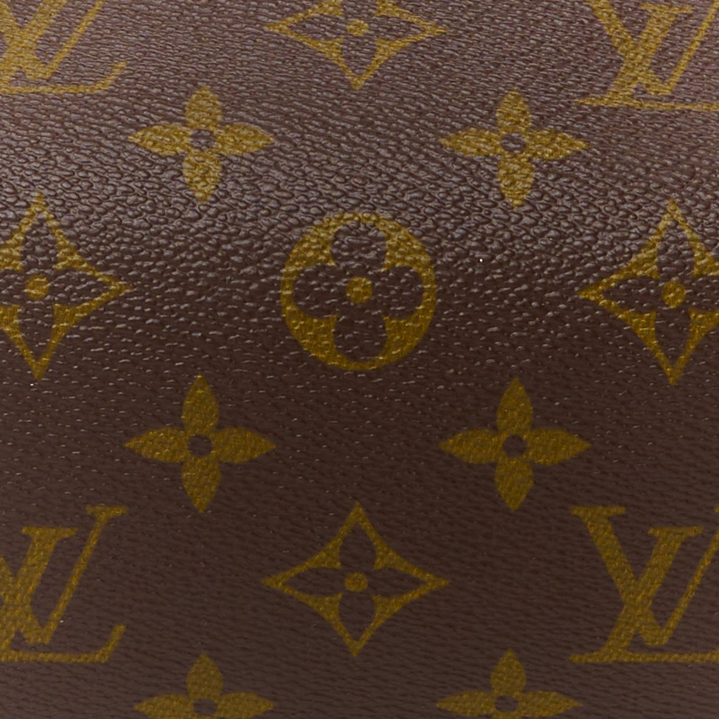 Monogram Papillon 30