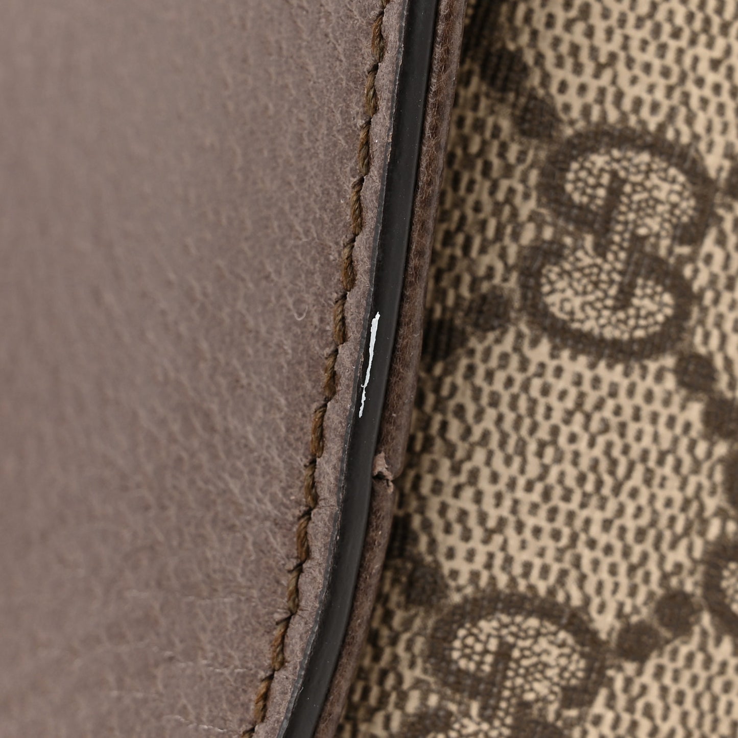 GG Supreme Monogram Web Medium Ophidia Tote Bag Brown
