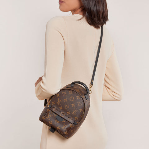 Monogram Palm Springs Backpack Mini