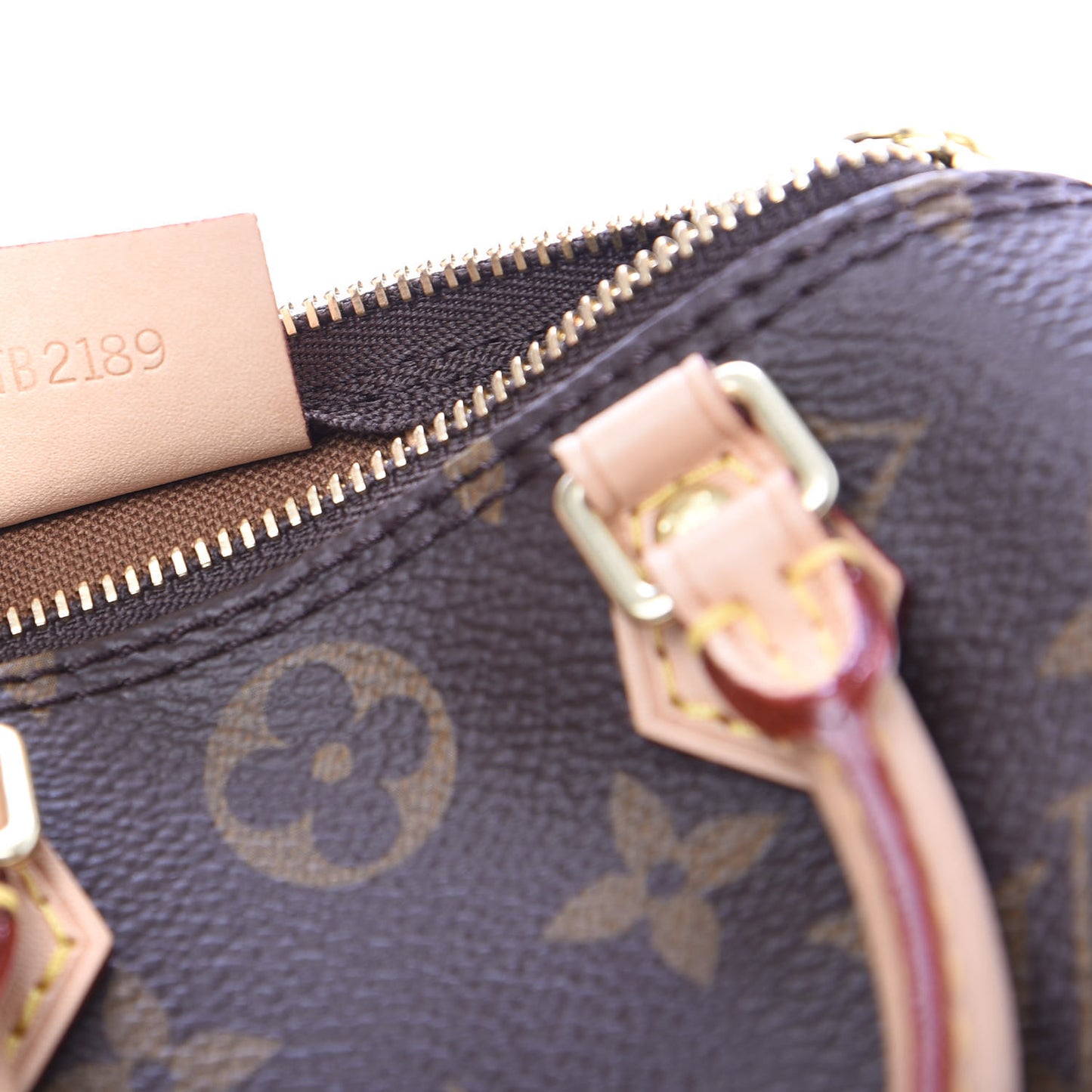 Monogram Nano Speedy