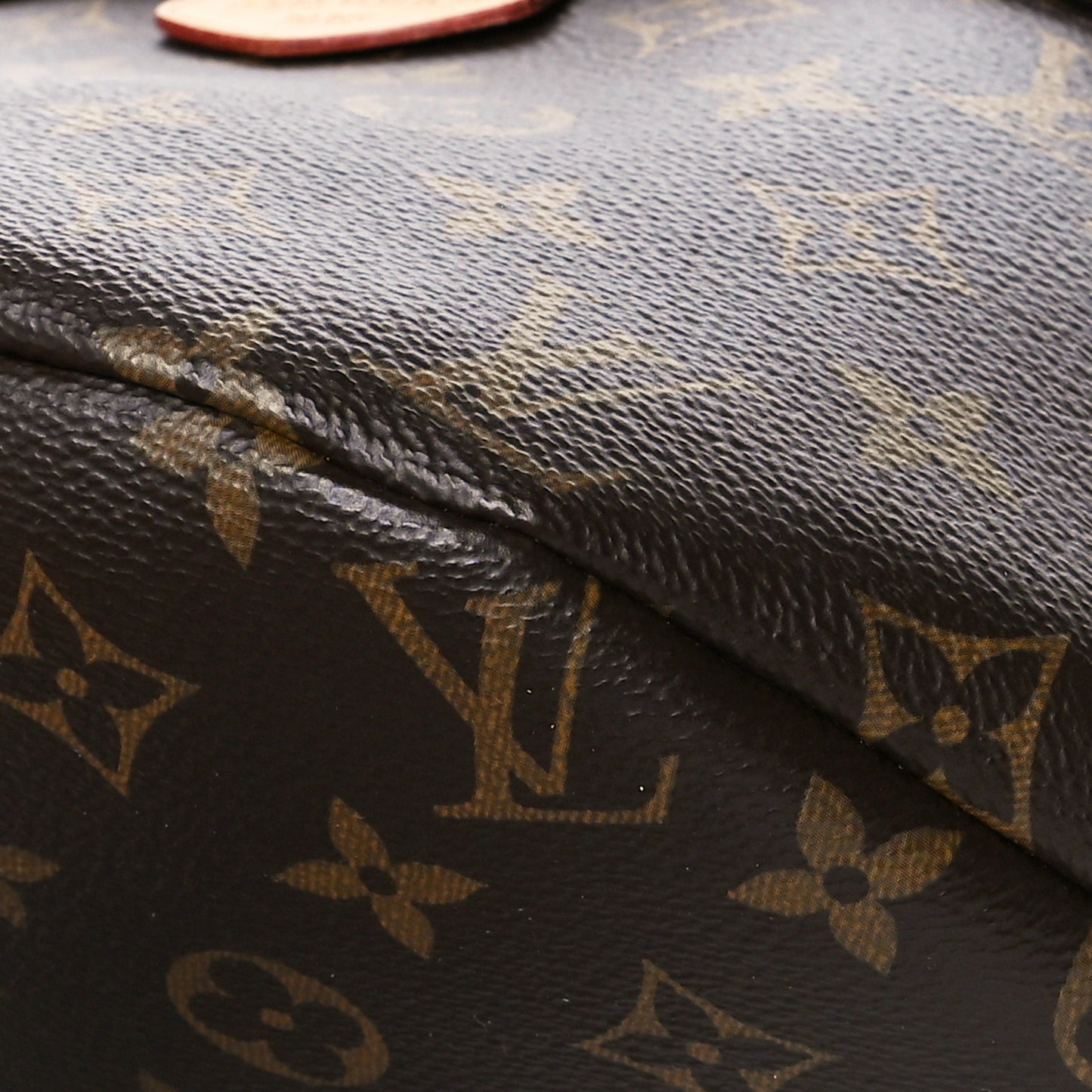 Monogram Bumbag