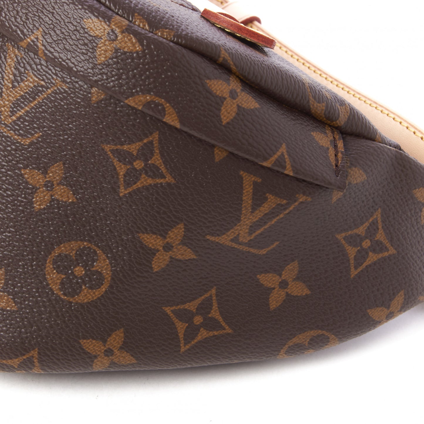Monogram Bumbag