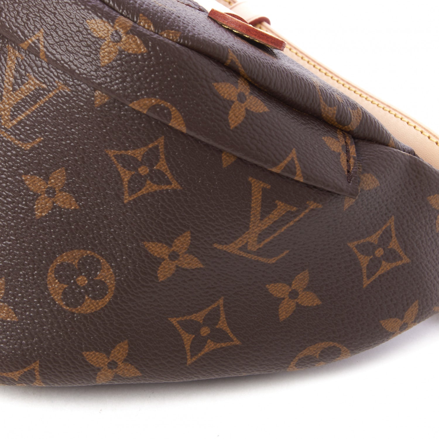 Louis Vuitton Monogram Bumbag 4 of 8
