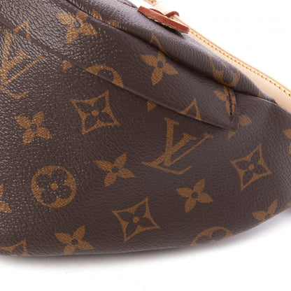 Louis Vuitton Monogram Bumbag 4 of 8