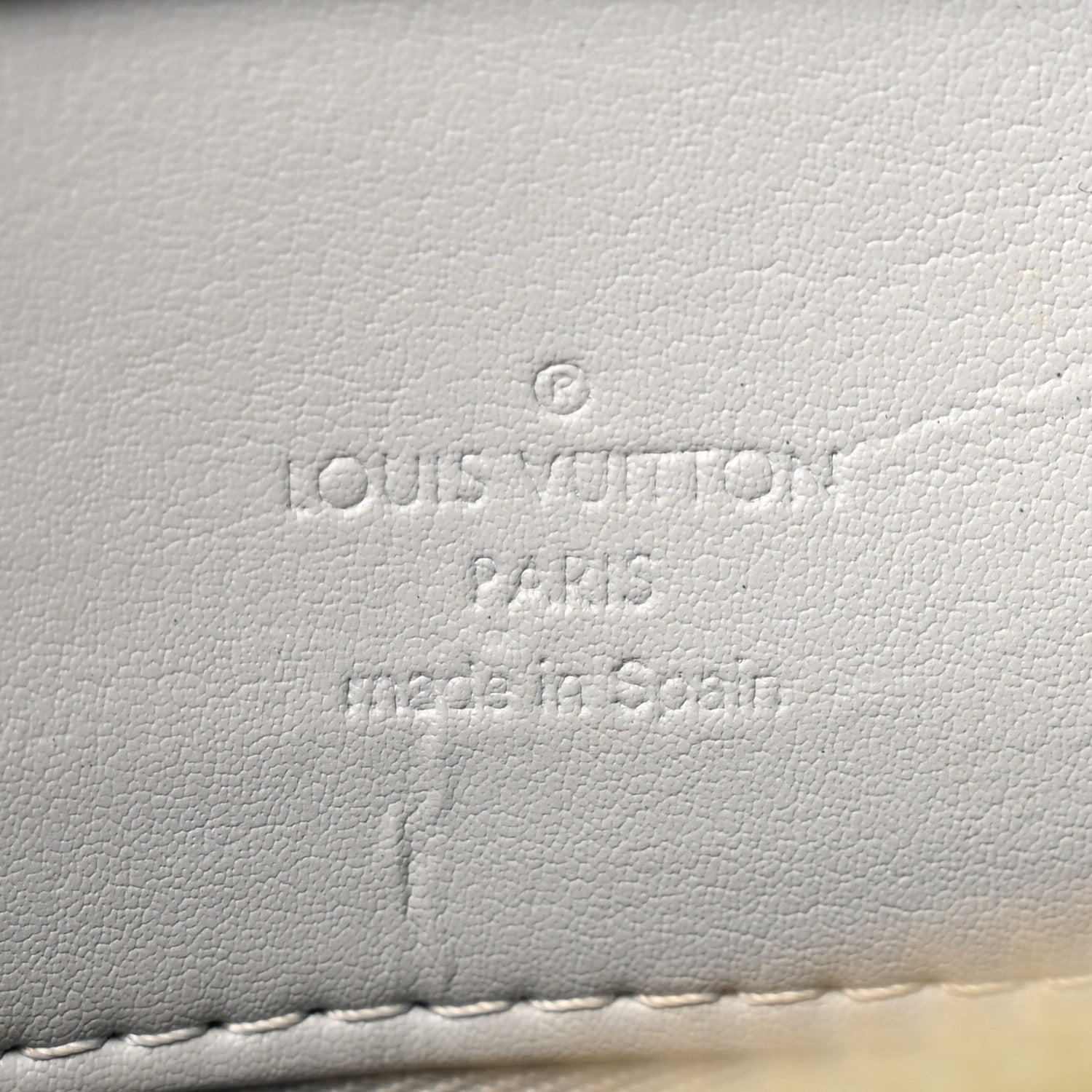Louis Vuitton Vernis Houston Silver 6 of 14