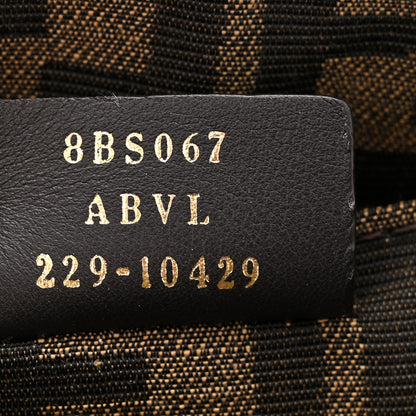 Fendi Vitello King Plexiglass Logo Embossed Mini By The Way Top Handle Boston Bag Menta 7 of 10