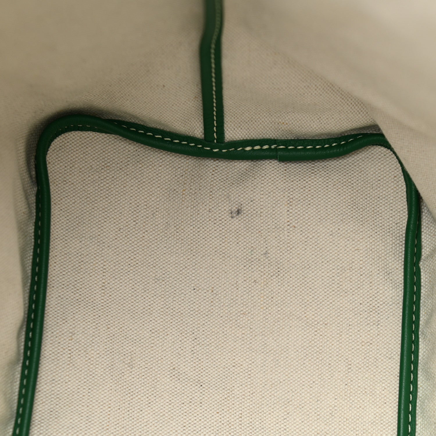 Goyard Goyardine Saint Louis PM Green 11 of 11