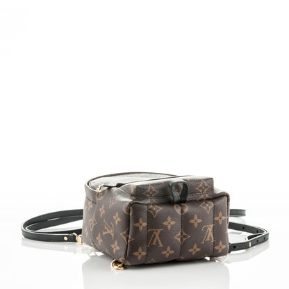 Louis Vuitton Monogram Palm Springs Backpack Mini 4 of 7