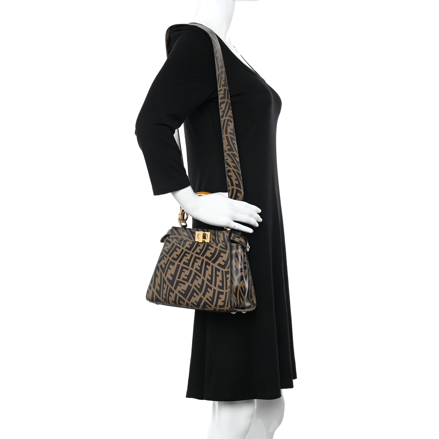 X SARAH COLEMAN Vitello Liberty Shiny Nappa Plexiglass FF Vertigo Mini Peekaboo Iconic Satchel