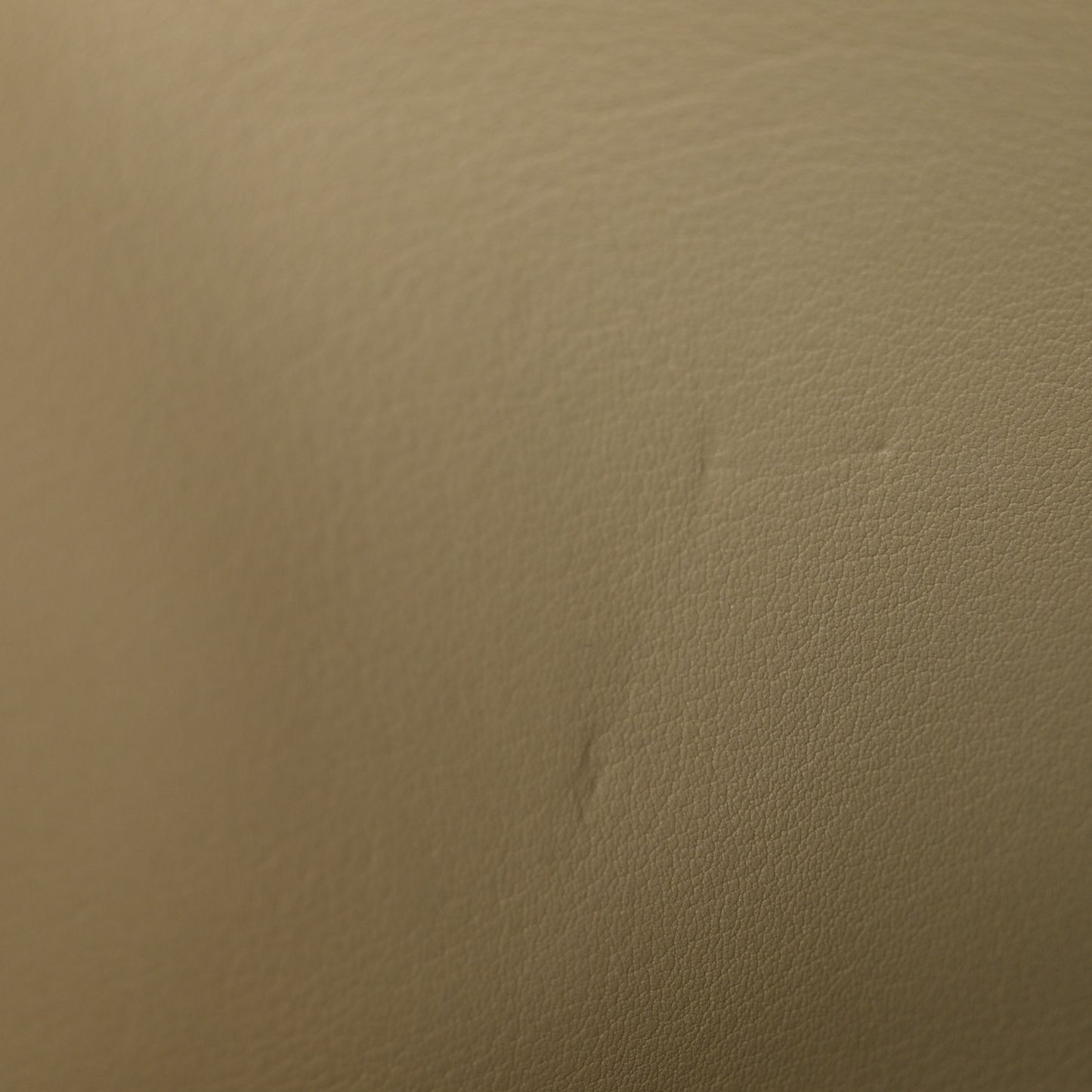 Swift Jige Elan 29 Clutch Sauge