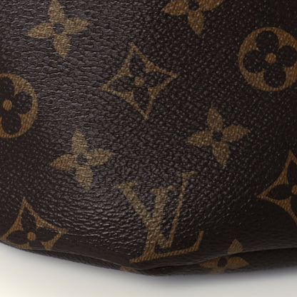 Louis Vuitton Monogram Bumbag 8 of 12