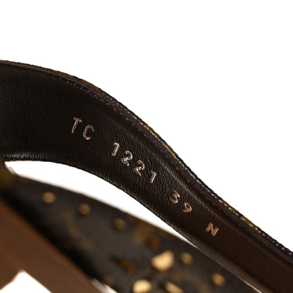 Louis Vuitton Monogram Sunny Flat Thong Sandals 39 Brown 8 of 8
