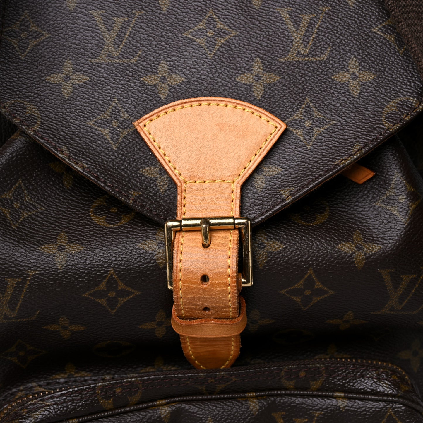 Monogram Montsouris GM Backpack