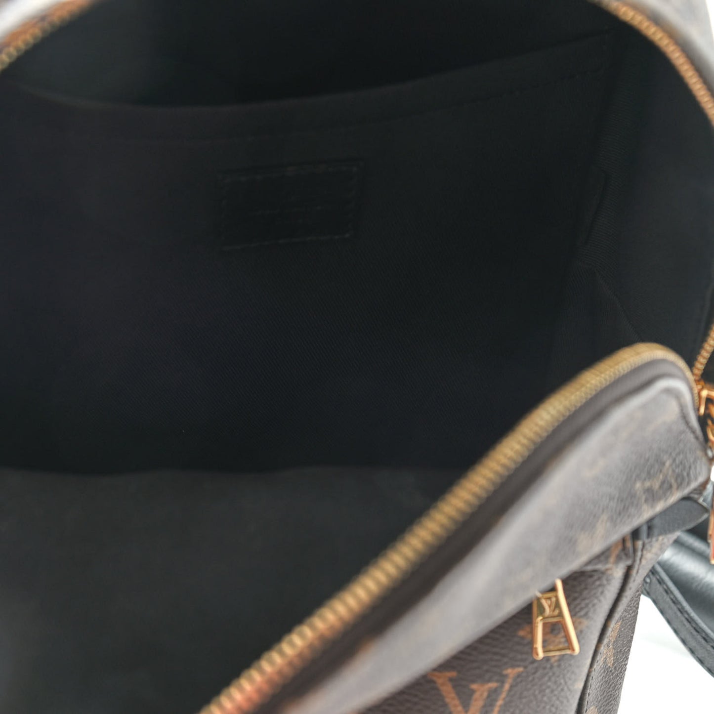 Monogram Palm Springs Backpack PM