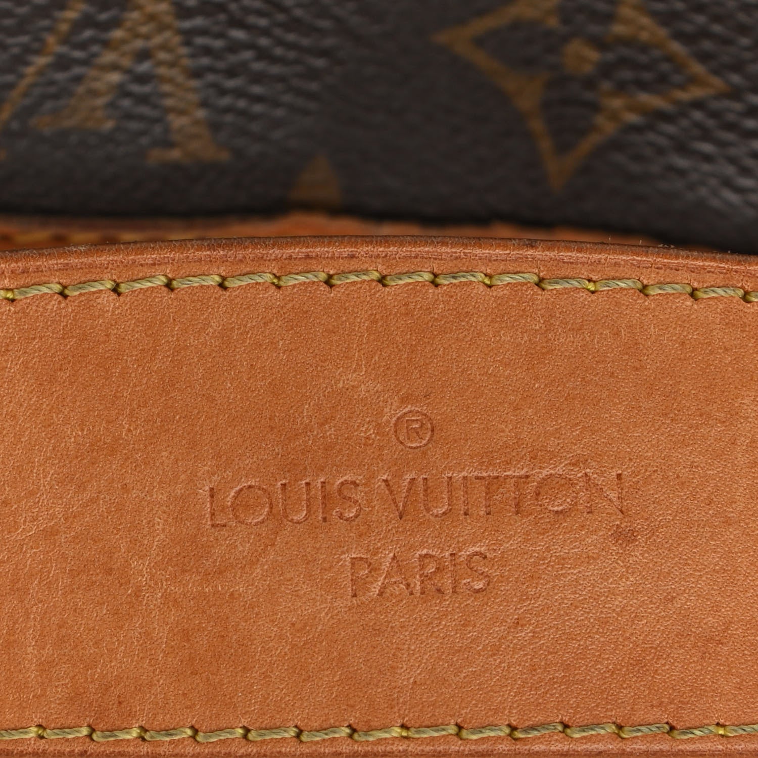 Louis Vuitton Monogram Delightful PM 5 of 14