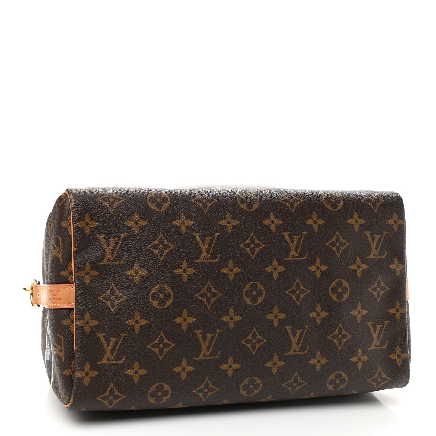 Monogram World Tour Speedy Bandouliere 30