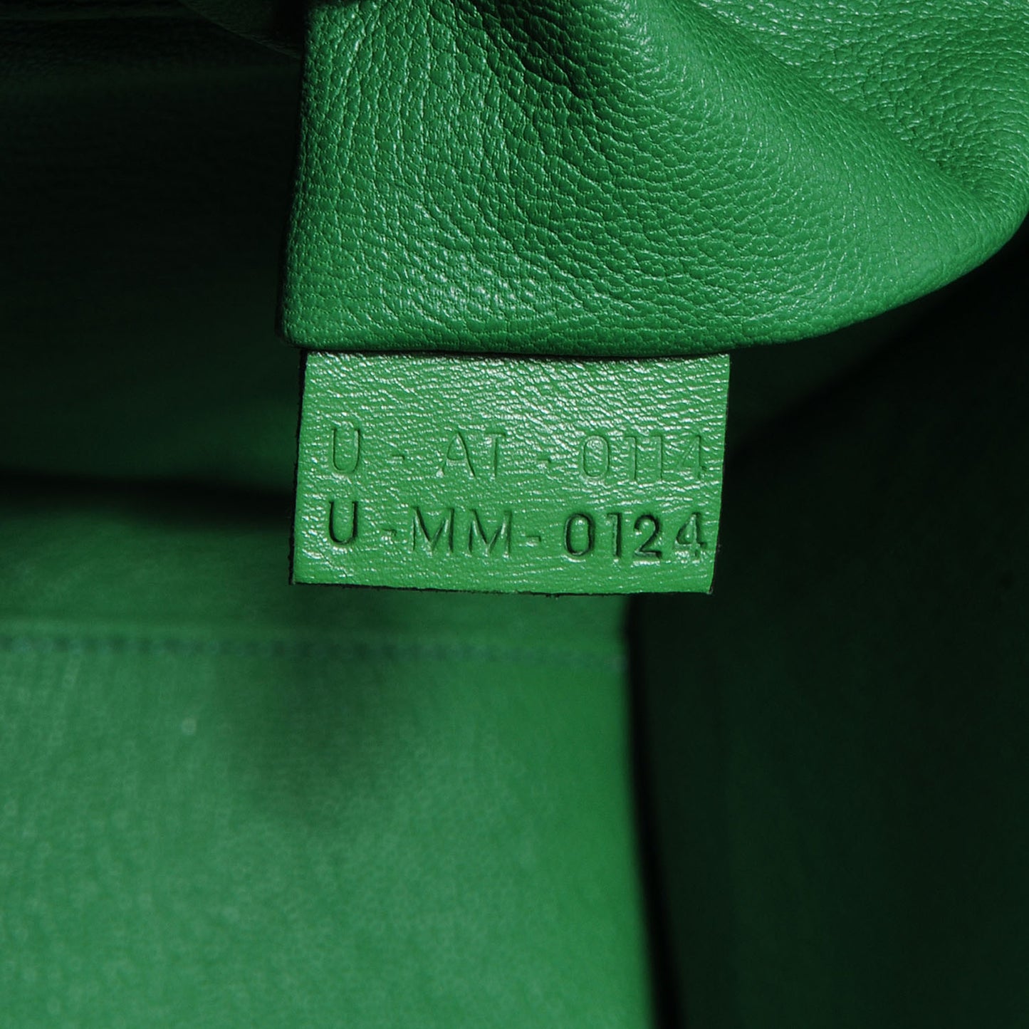 Palmelato Leather Mini Luggage Bag Grass Green