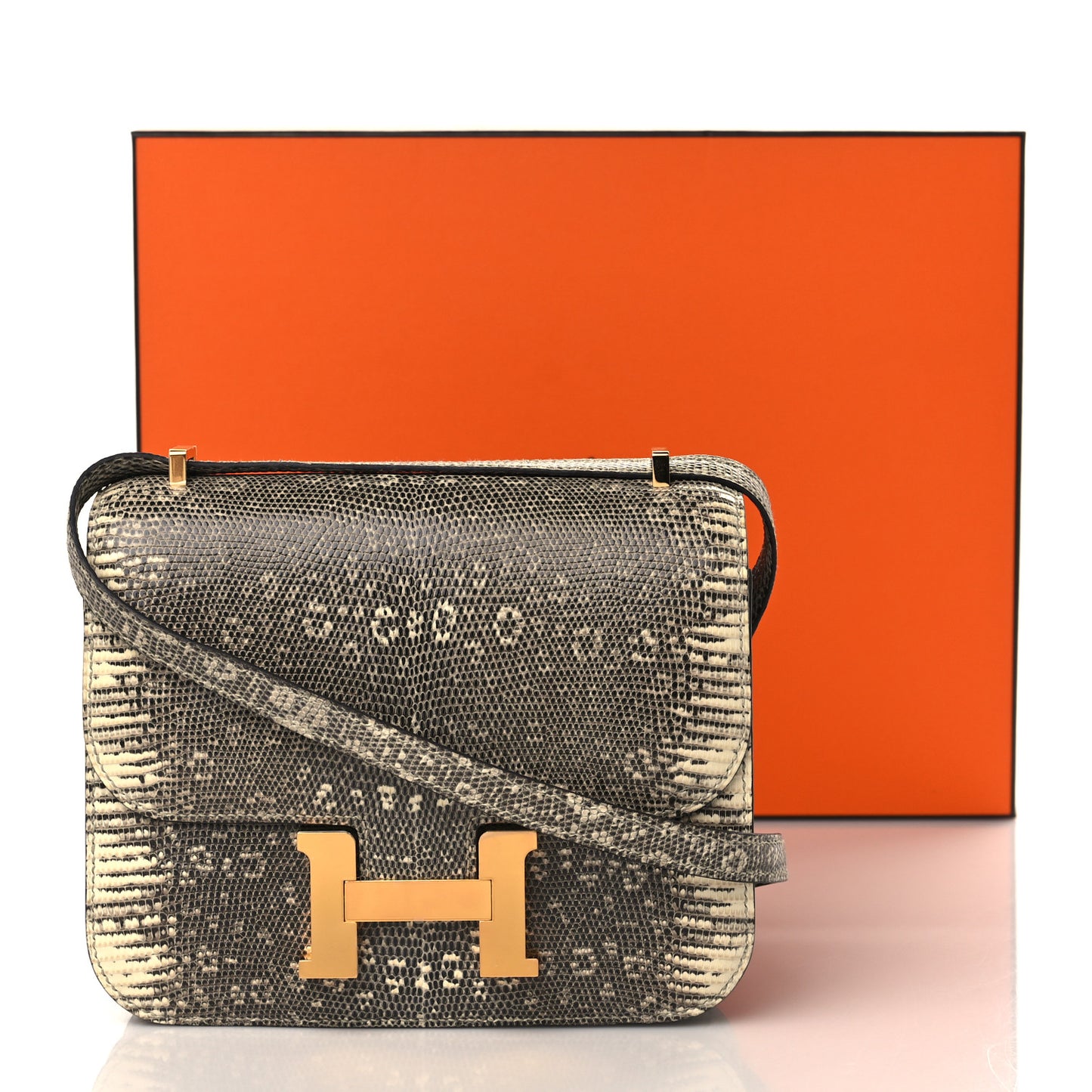 Lizard Constance 18 Ombre