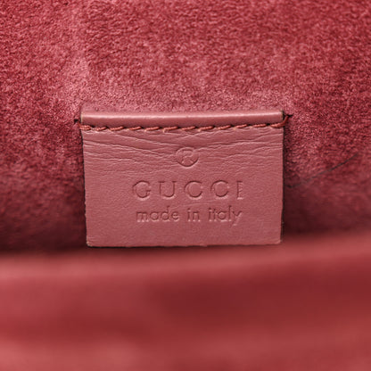 Gucci GG Supreme Monogram Blooms Mini Dionysus Shoulder Bag Beige Multicolor Dry Rose 6 of 15