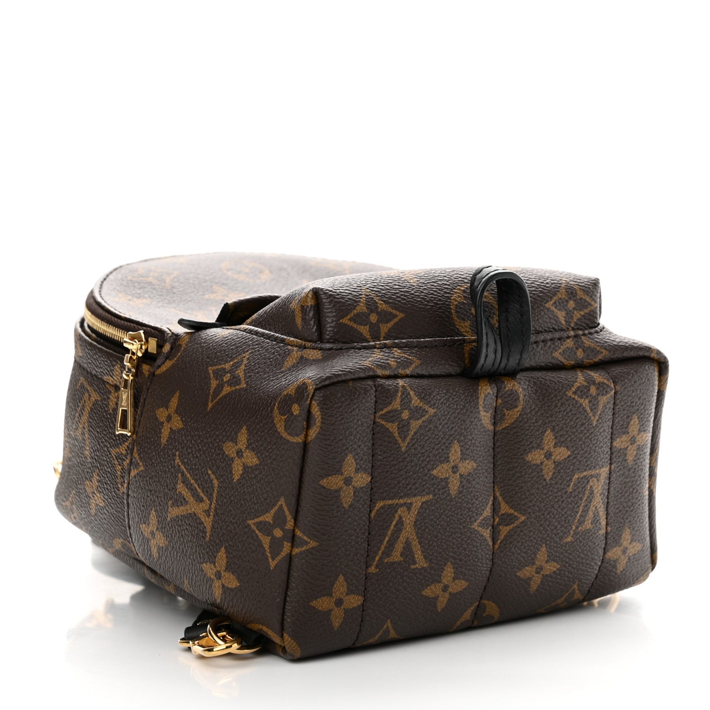 Monogram Palm Springs Backpack Mini