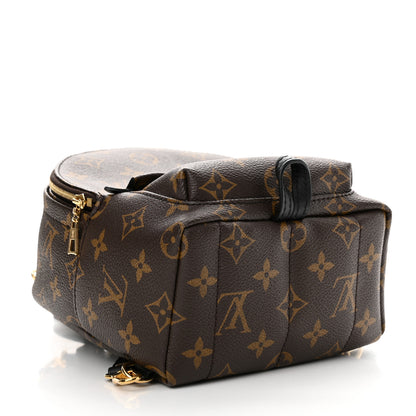 Louis Vuitton Monogram Palm Springs Backpack Mini 4 of 10