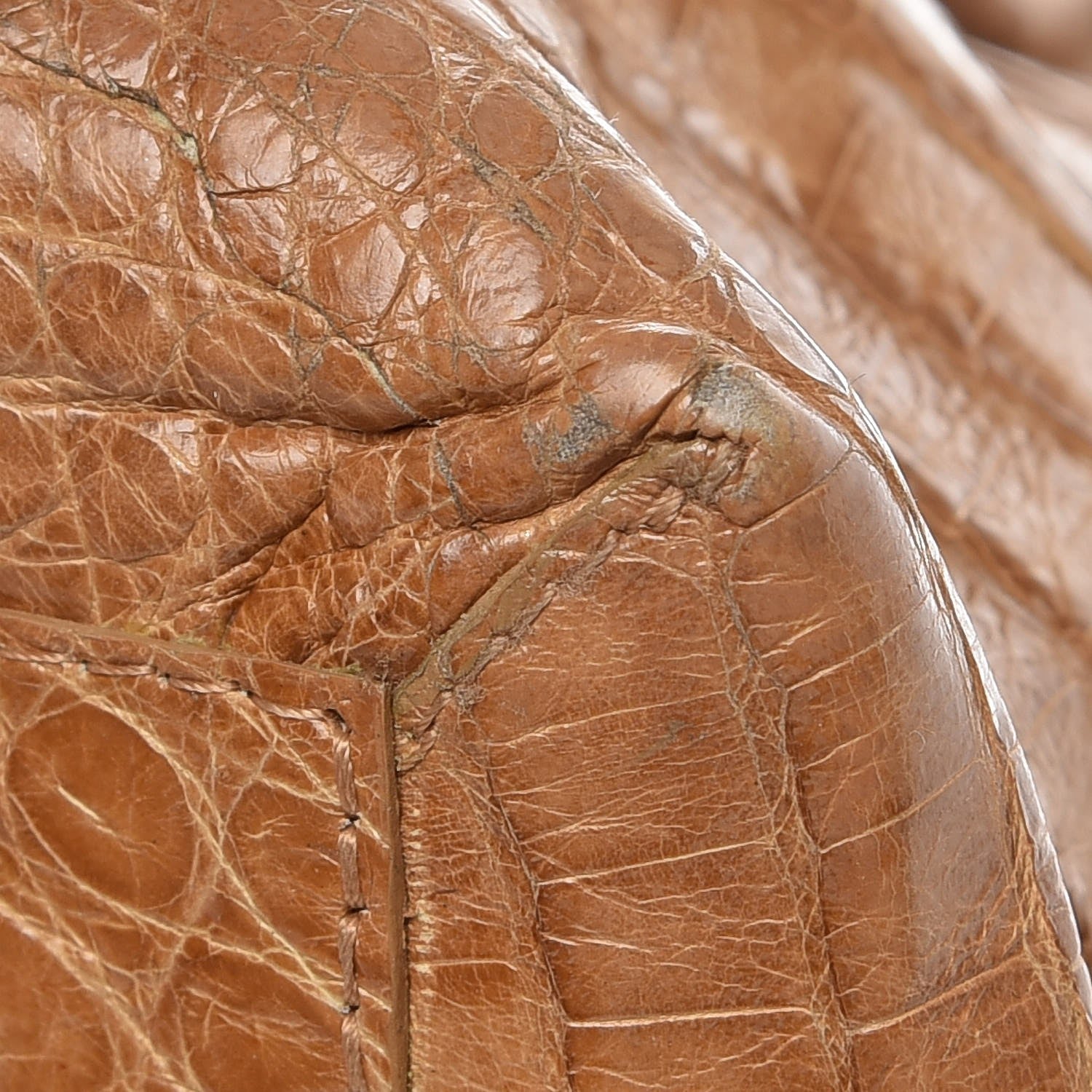 Nancy Gonzalez Crocodile Tote Tan 13 of 15