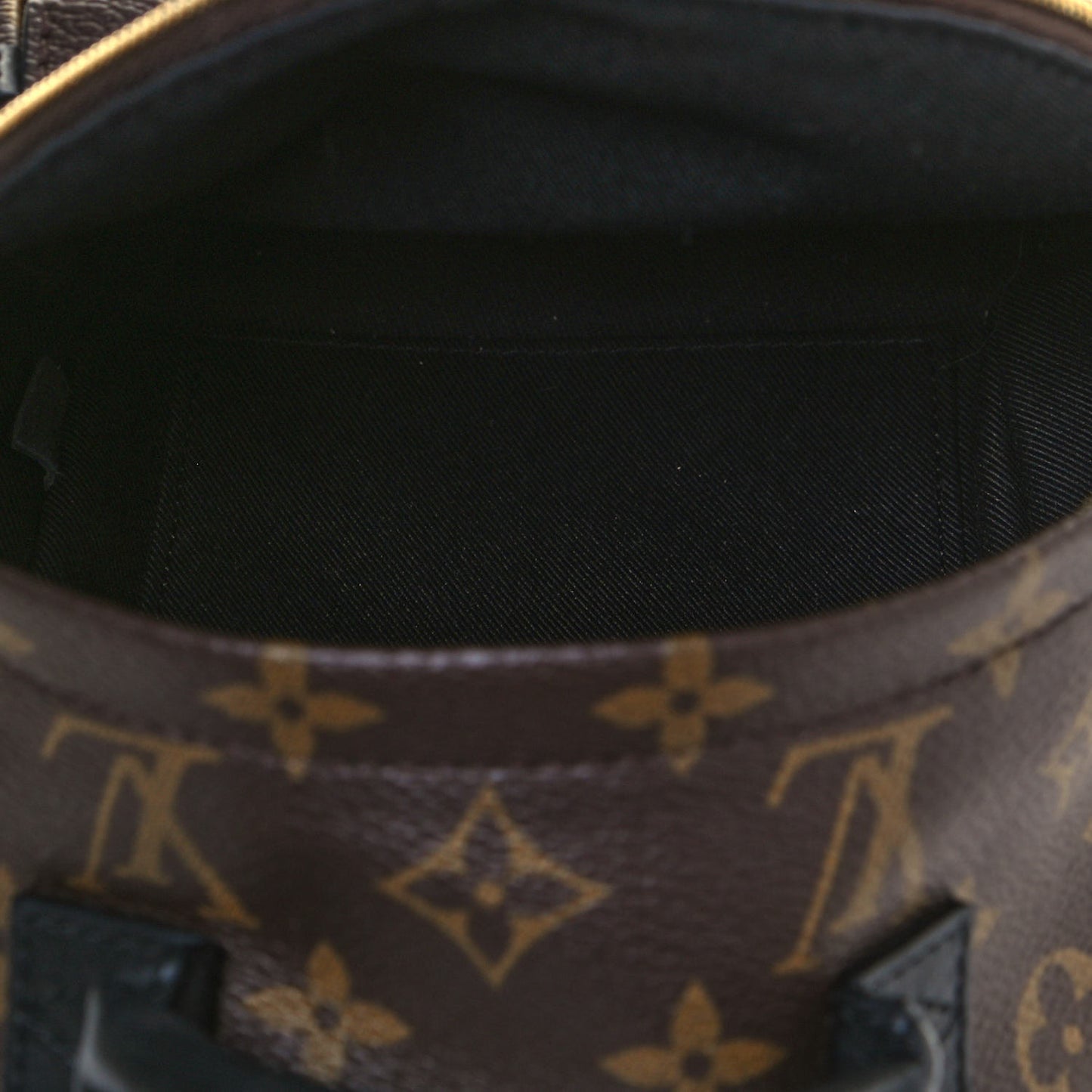 Monogram Palm Springs Backpack Mini