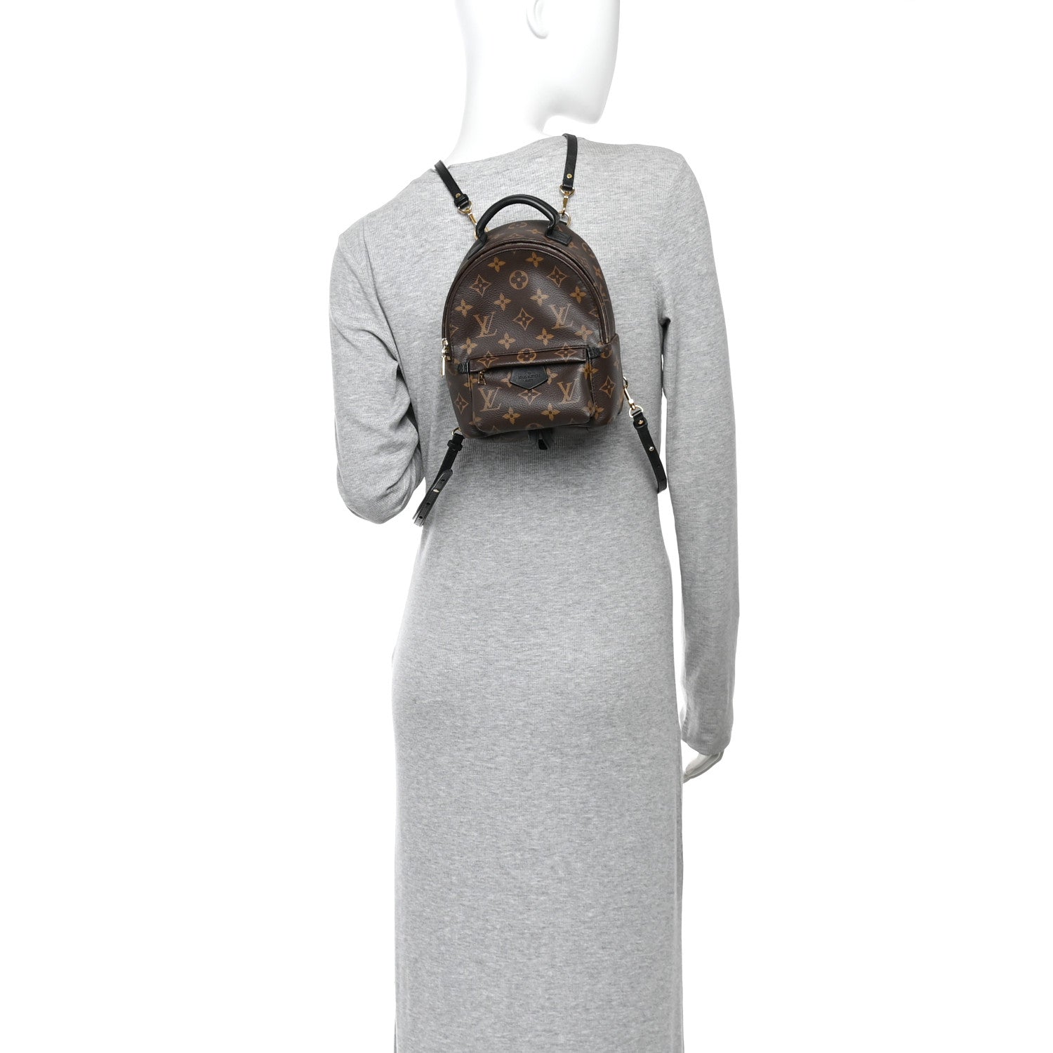 Louis Vuitton Monogram Palm Springs Backpack Mini 2 of 12