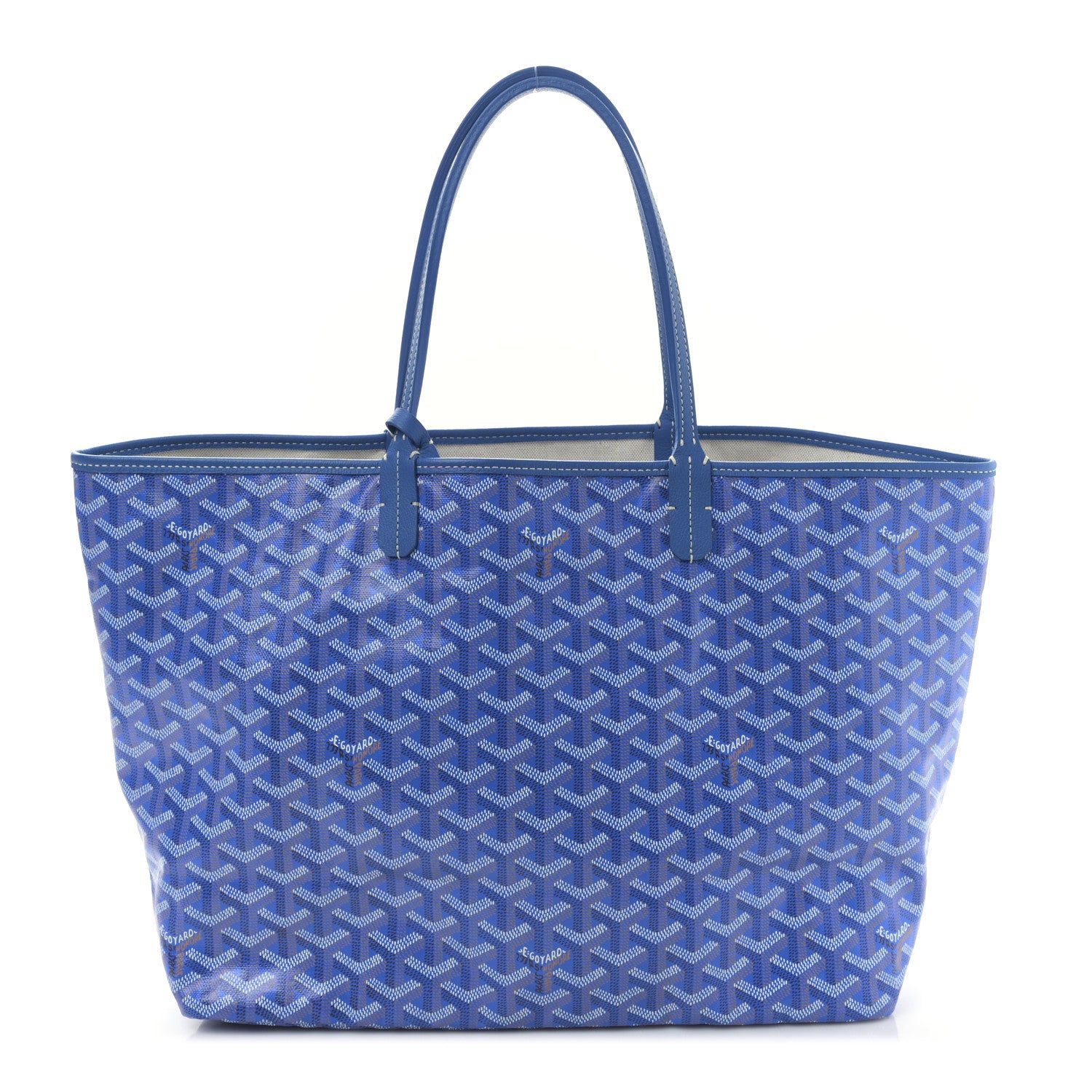 Goyard Goyardine Saint Louis PM Sky Blue 3 of 9