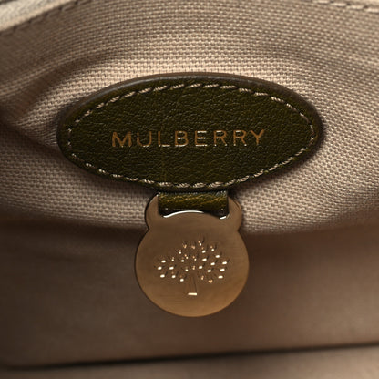 Mulberry Soft Buffalo Medium Alexa Green 5 of 9
