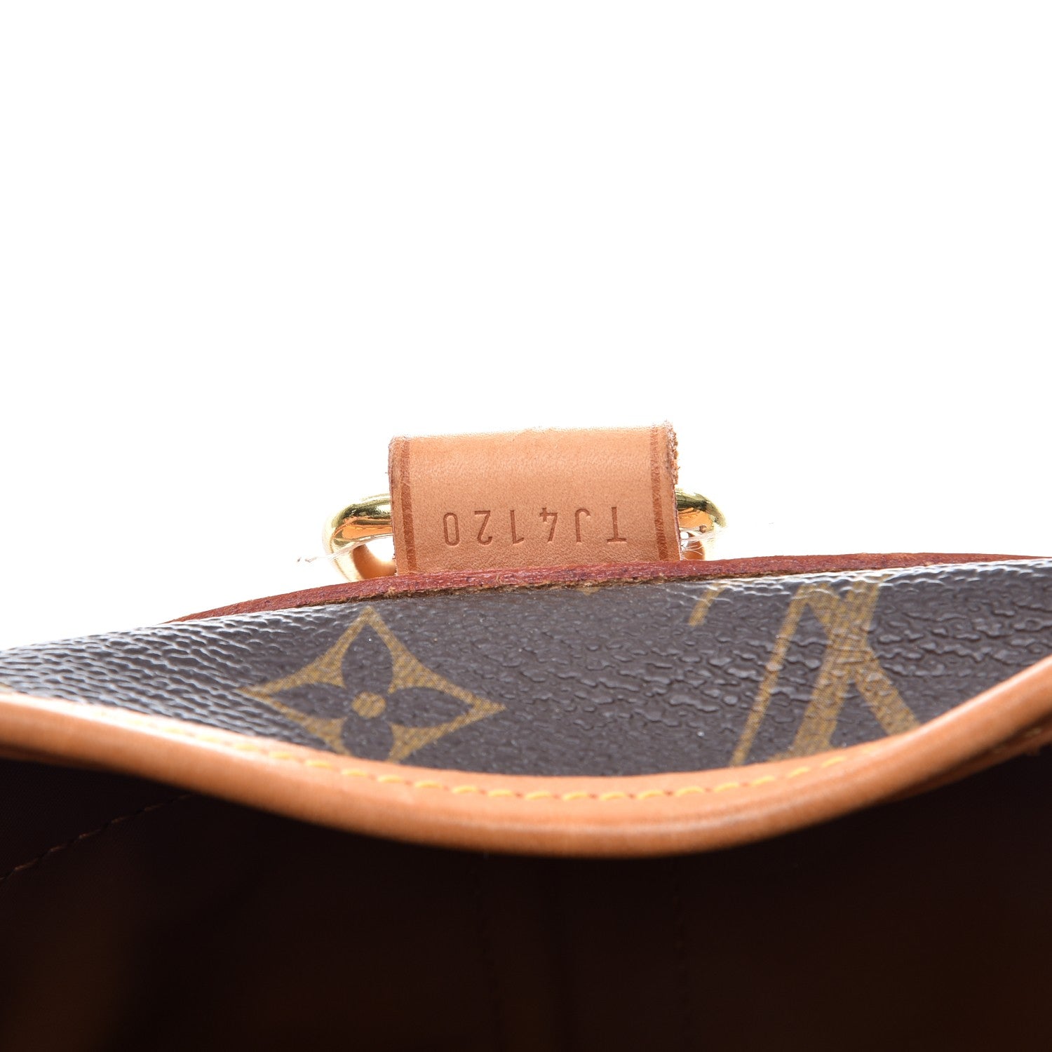 Louis Vuitton Monogram Sac Chien 50 Pet Carrier 7 of 24