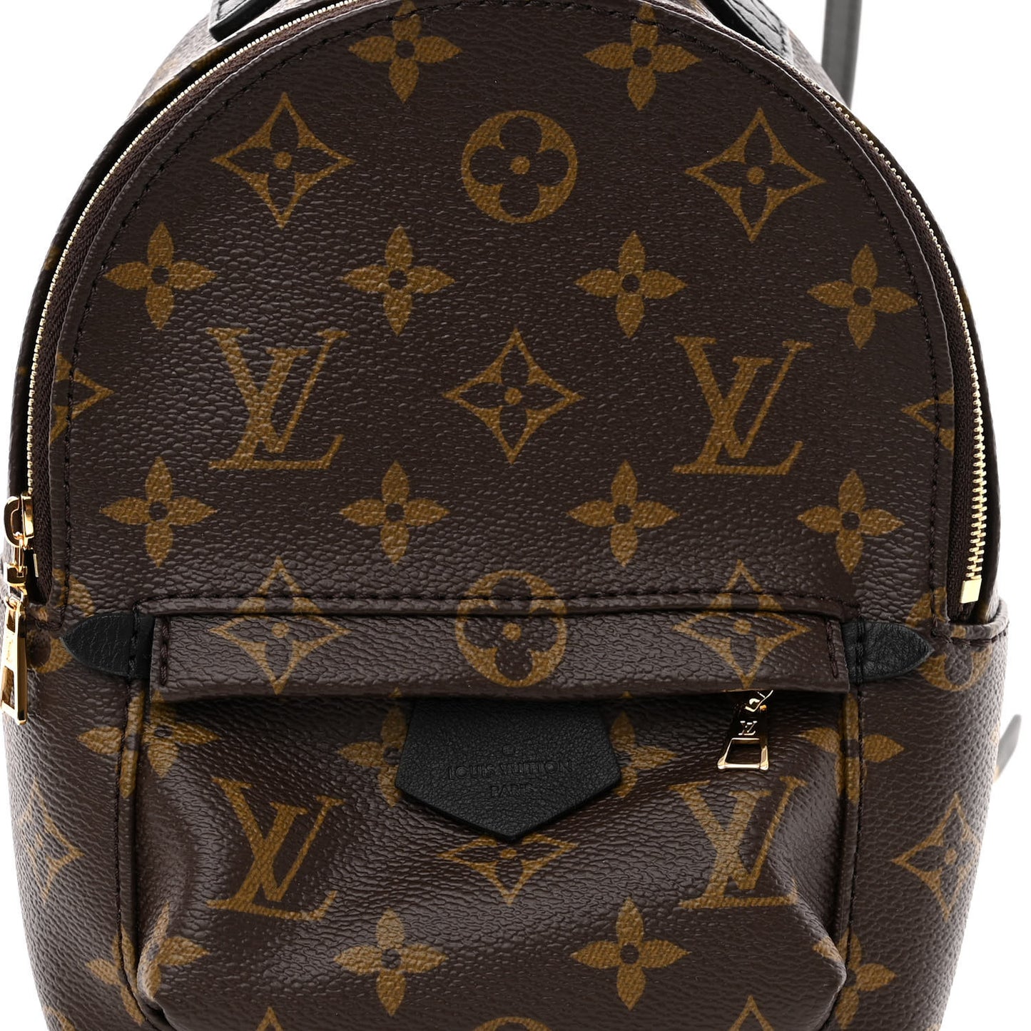Monogram Palm Springs Backpack Mini