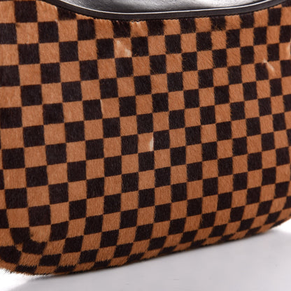 Louis Vuitton Calf Hair Damier Sauvage Tigre 7 of 8