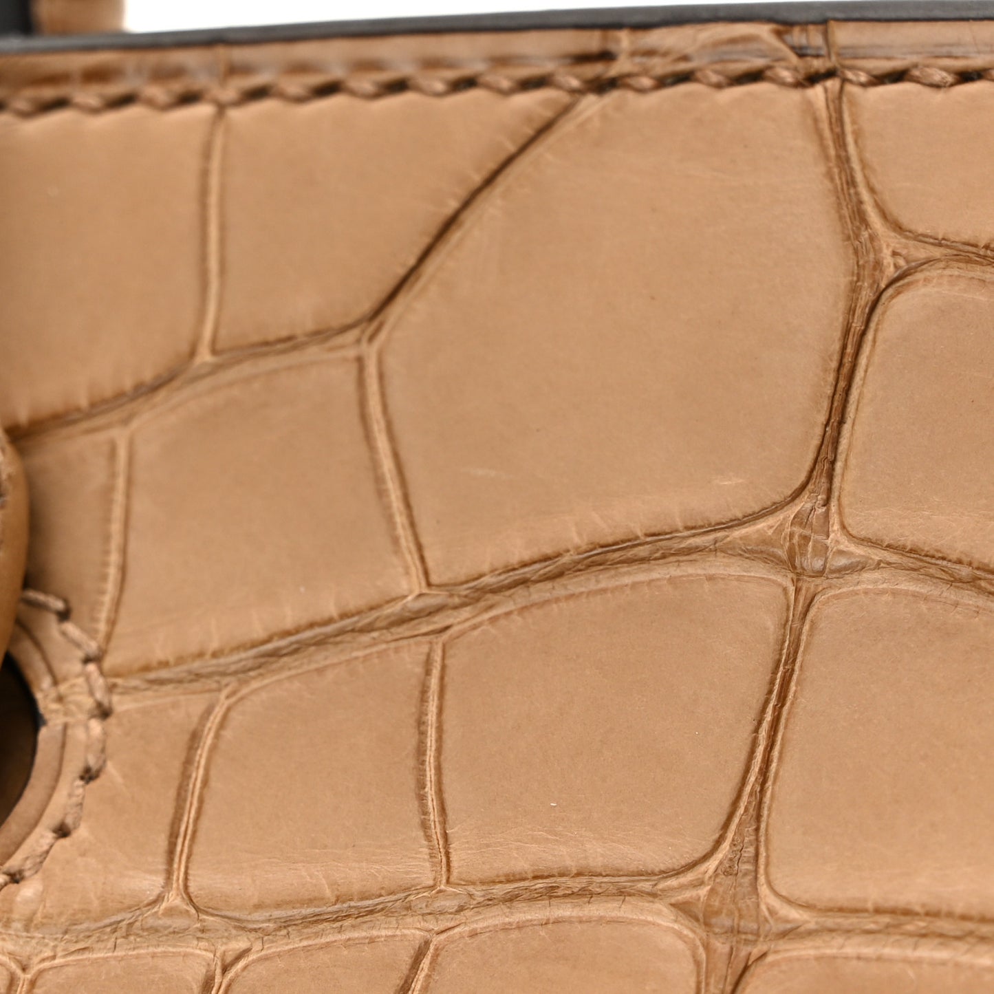 Togo Matte Alligator Birkin Touch 25 Chai