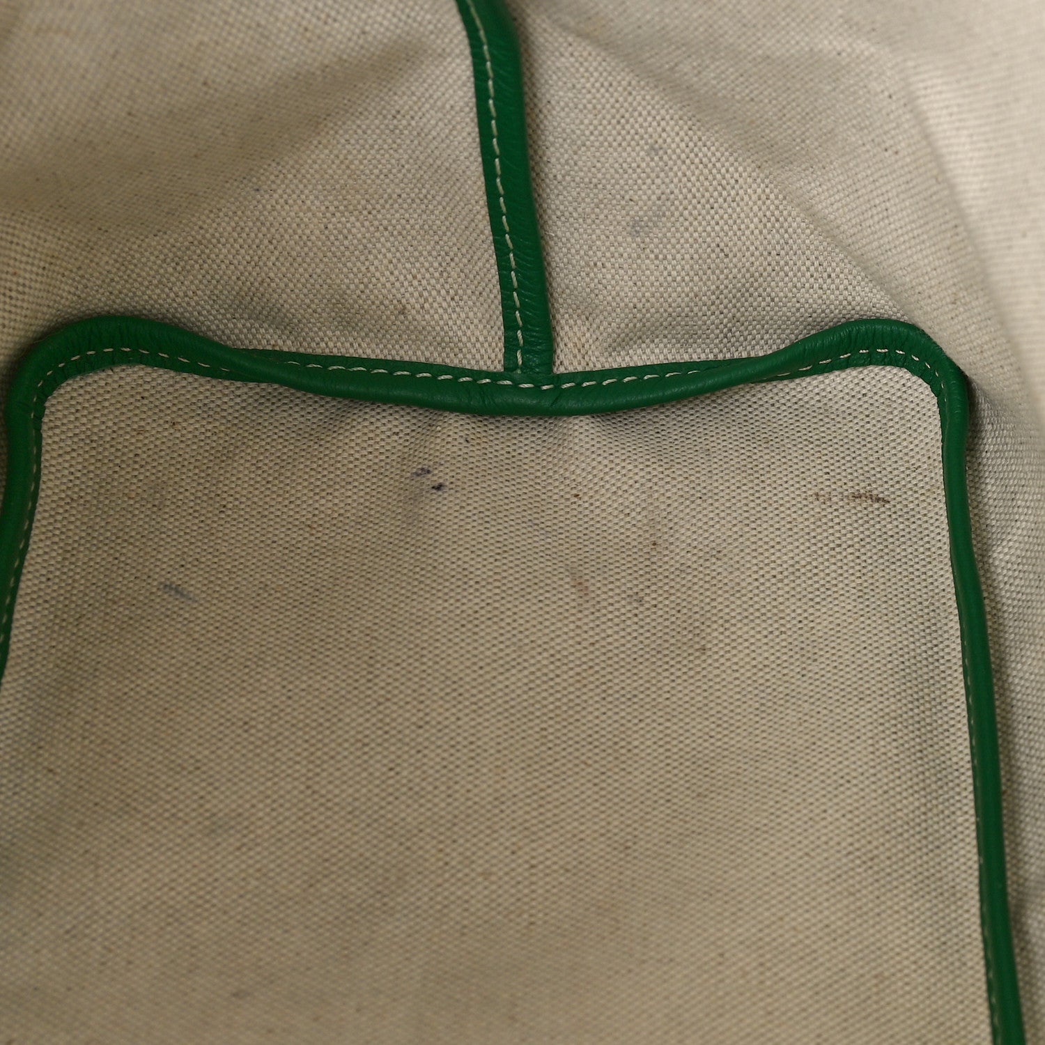 Goyard Goyardine Saint Louis PM Green 10 of 11