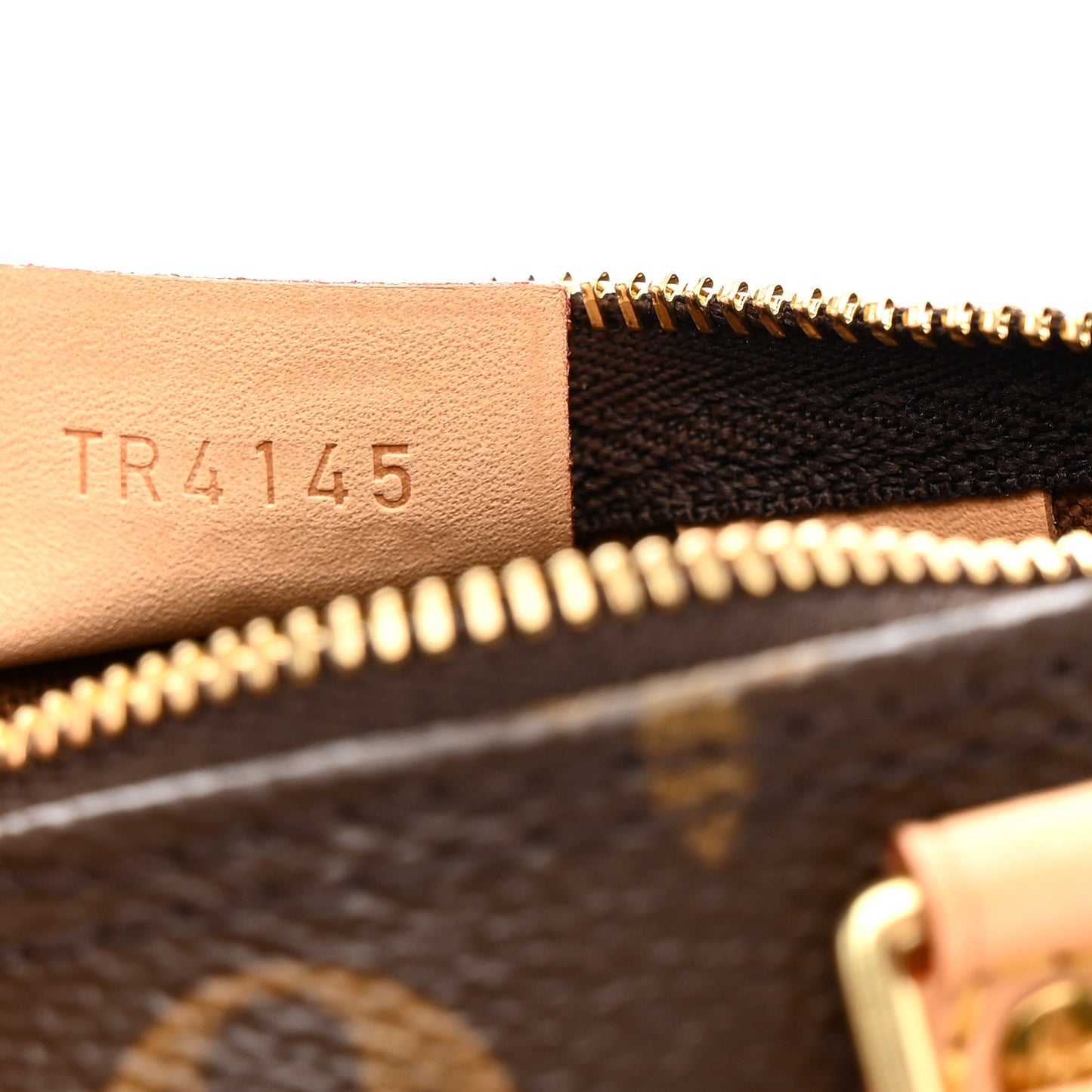 Monogram Nano Speedy