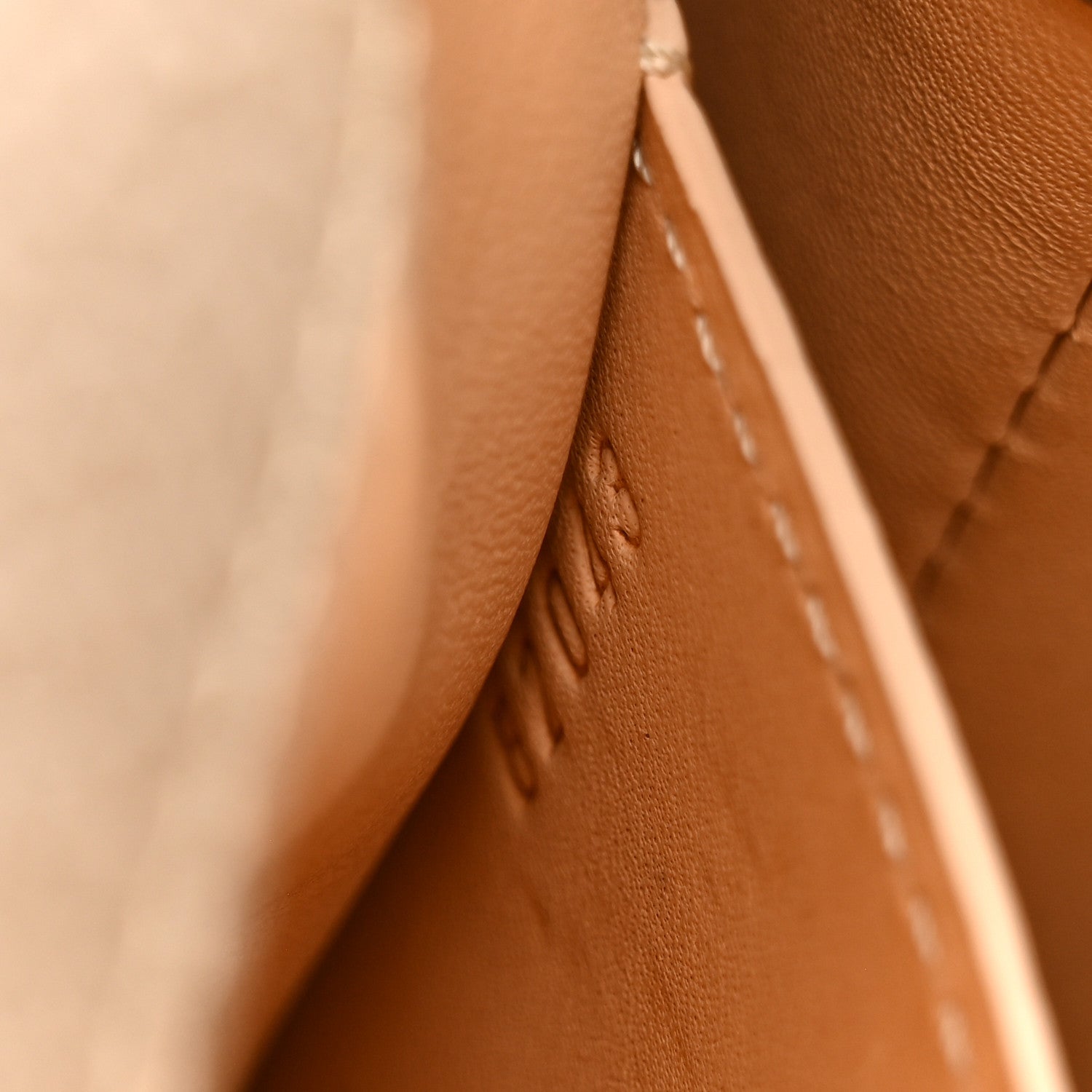 Moynat Taurillon Blush Calfskin Gabby PM Taupe 7 of 11