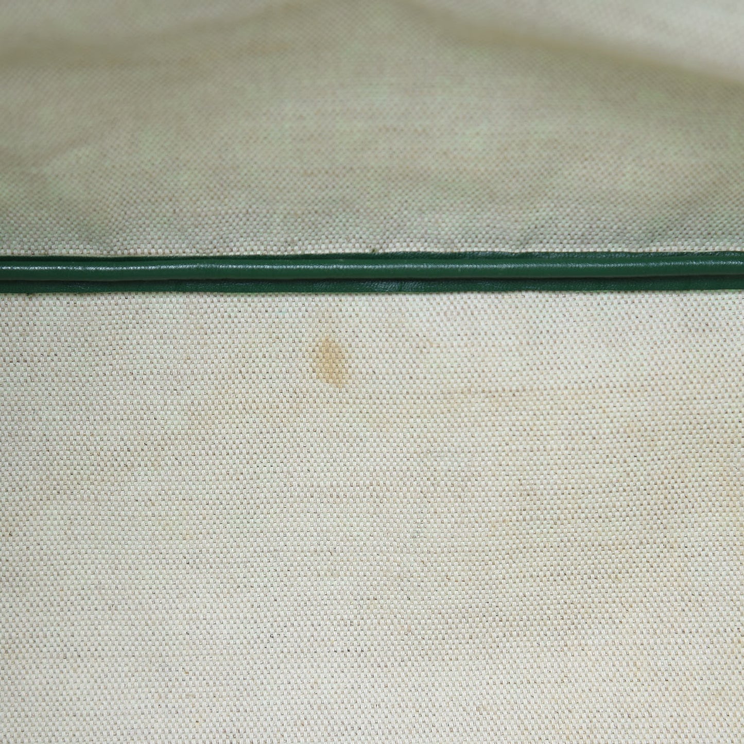 Goyardine Saint Louis PM Green