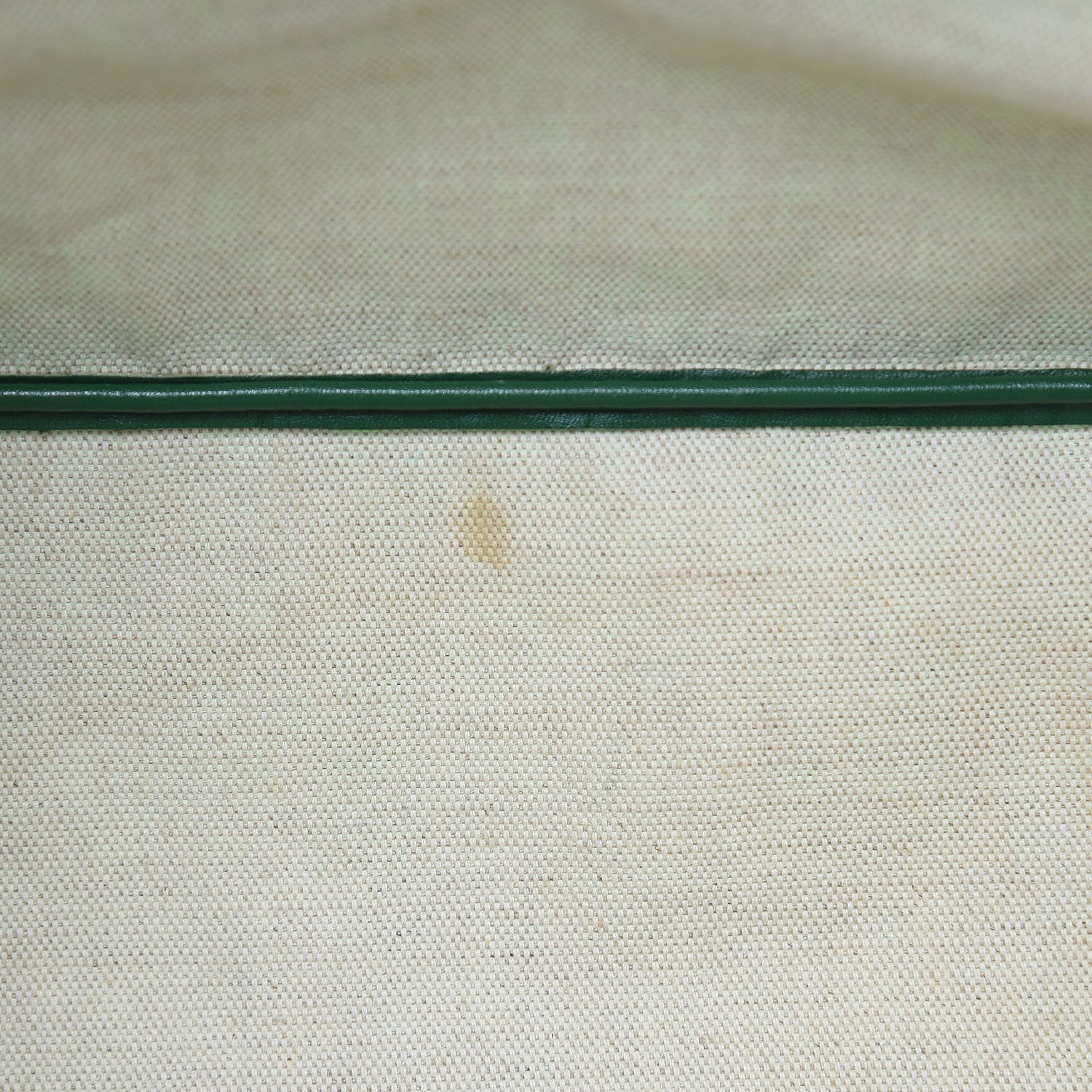 Goyard Goyardine Saint Louis PM Green 14 of 17