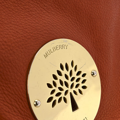 Mulberry Soft Spongy Calfskin Daria Satchel Burnt Orange 13 of 18