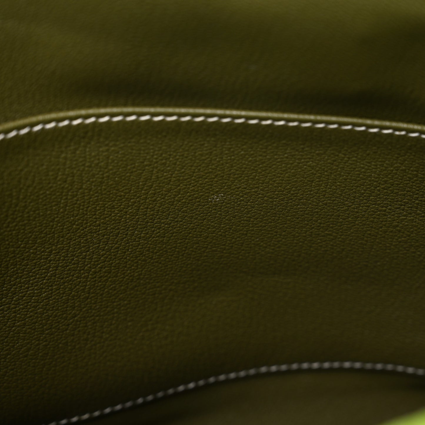 Epsom Candy Birkin 30 Kiwi Lichen